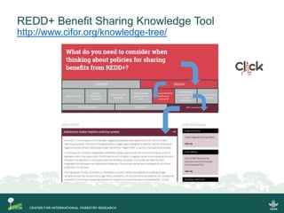 CIFOR's Global Comparative Study (GCS-REDD+)