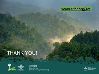 CIFOR's Global Comparative Study (GCS-REDD+)