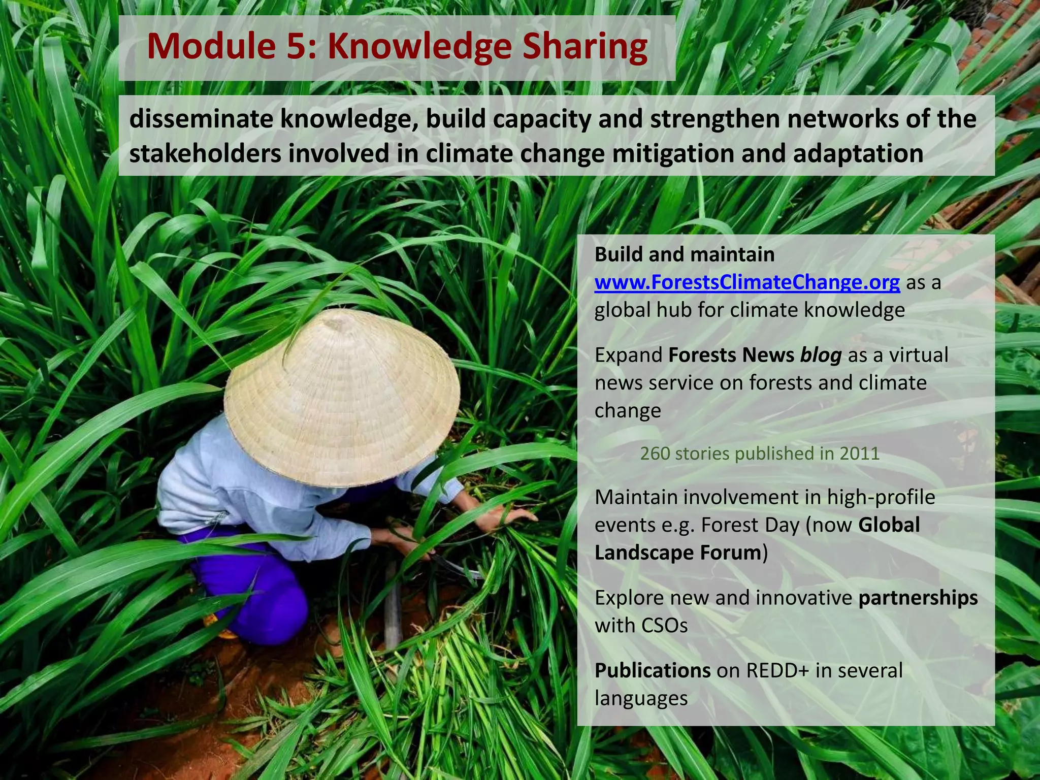 Module 5: Knowledge Sharing
disseminate knowledge, build capacity and strengthen networks of the
stakeholders involved in climate change mitigation and adaptation

Build and maintain
www.ForestsClimateChange.org as a
global hub for climate knowledge
Expand Forests News blog as a virtual
news service on forests and climate
change
260 stories published in 2011

Maintain involvement in high-profile
events e.g. Forest Day (now Global
Landscape Forum)
Explore new and innovative partnerships
with CSOs
Publications on REDD+ in several
languages

 