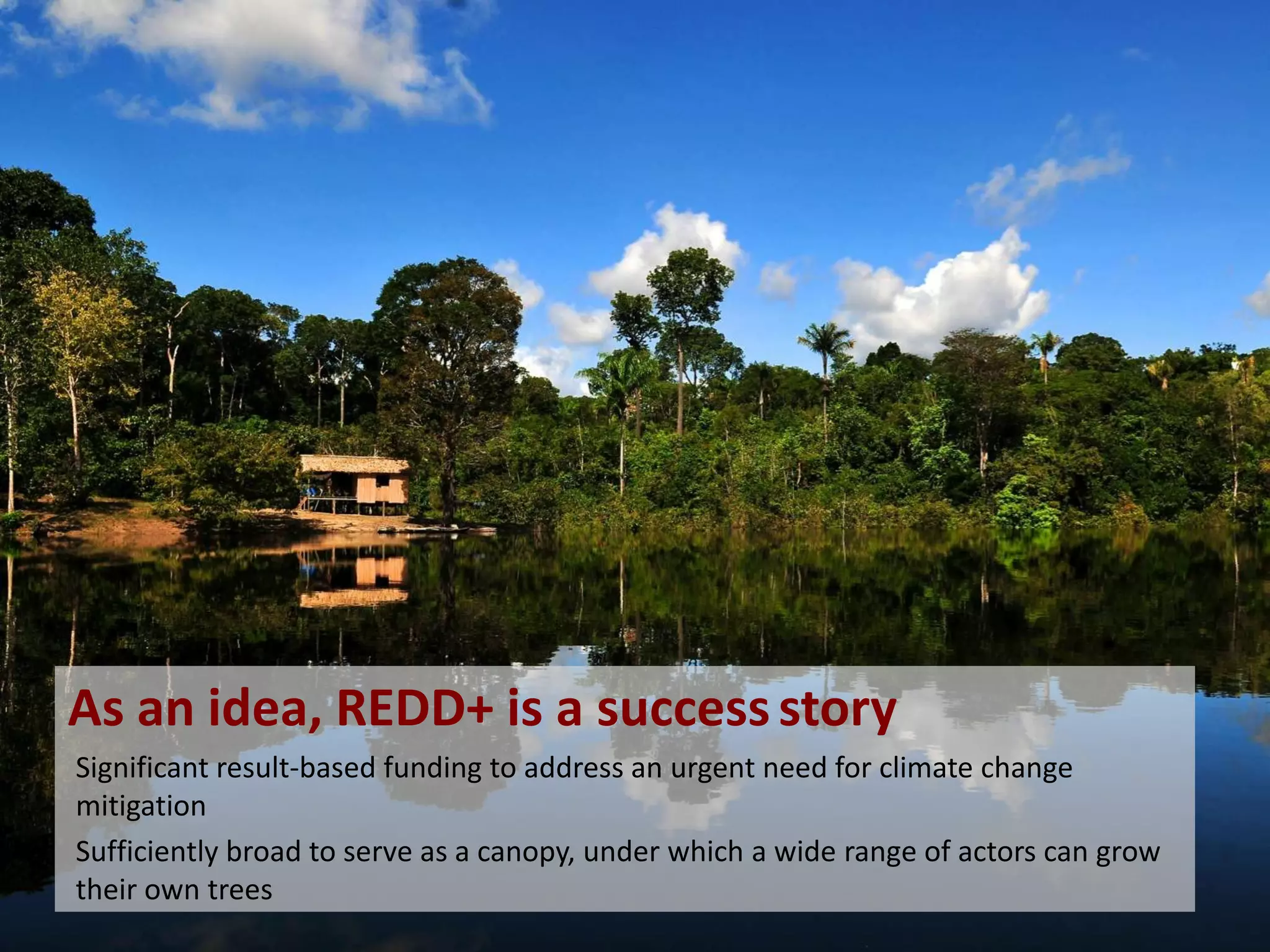 As an idea, REDD+ is a success story
Significant result-based funding to address an urgent need for climate change
mitigation
Sufficiently broad to serve as a canopy, under which a wide range of actors can grow
their own trees

 