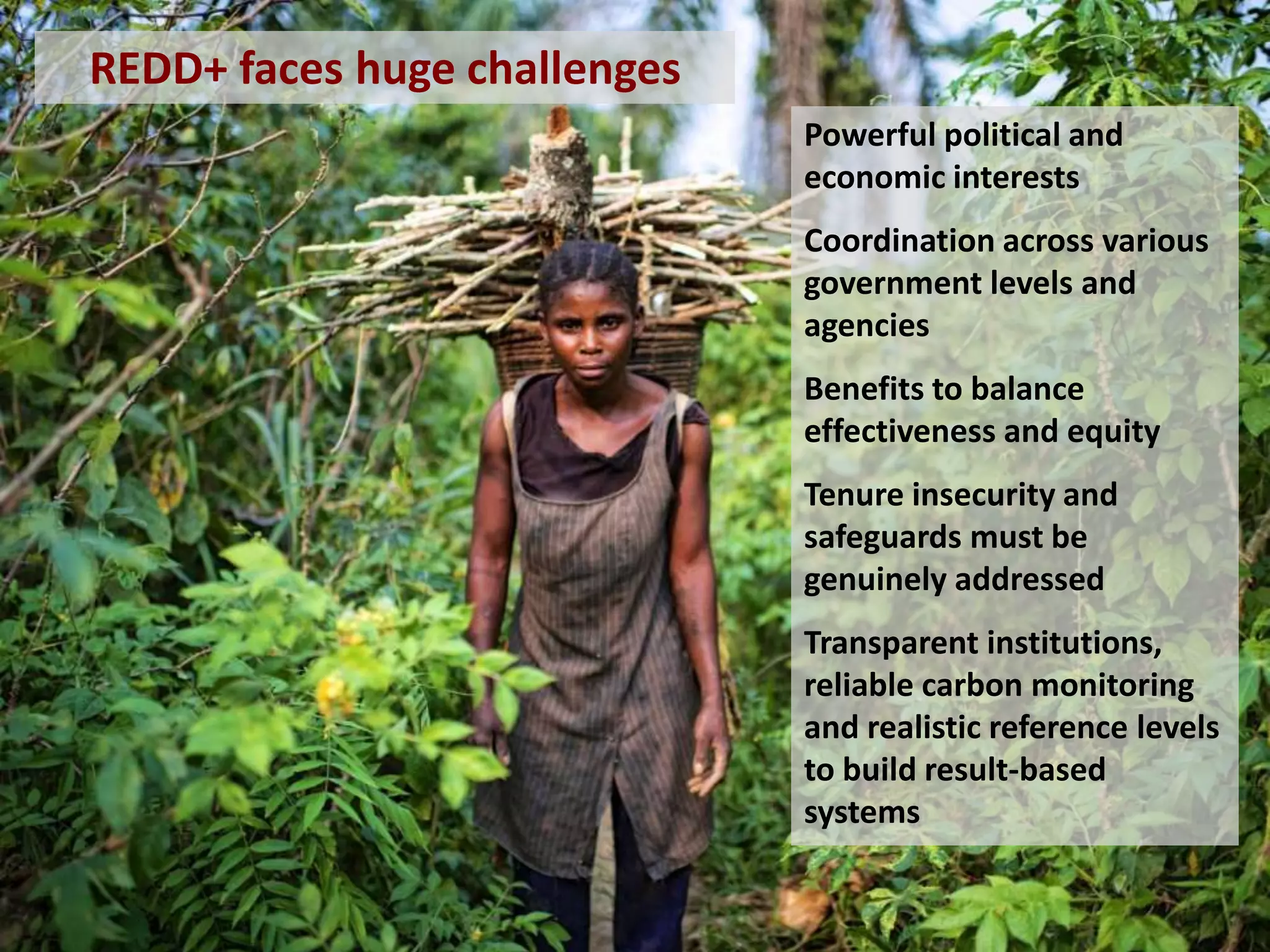 REDD+ faces huge challenges
Powerful political and
economic interests
Coordination across various
government levels and
agencies
Benefits to balance
effectiveness and equity
Tenure insecurity and
safeguards must be
genuinely addressed
Transparent institutions,
reliable carbon monitoring
and realistic reference levels
to build result-based
systems

 