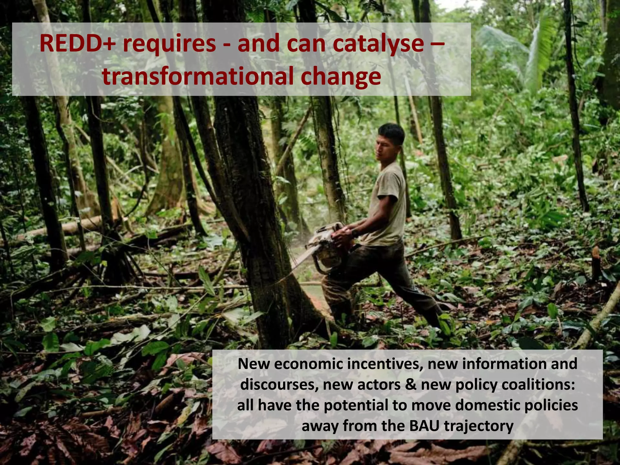 REDD+ requires - and can catalyse –
transformational change

New economic incentives, new information and
discourses, new actors & new policy coalitions:
all have the potential to move domestic policies
away from the BAU trajectory

 