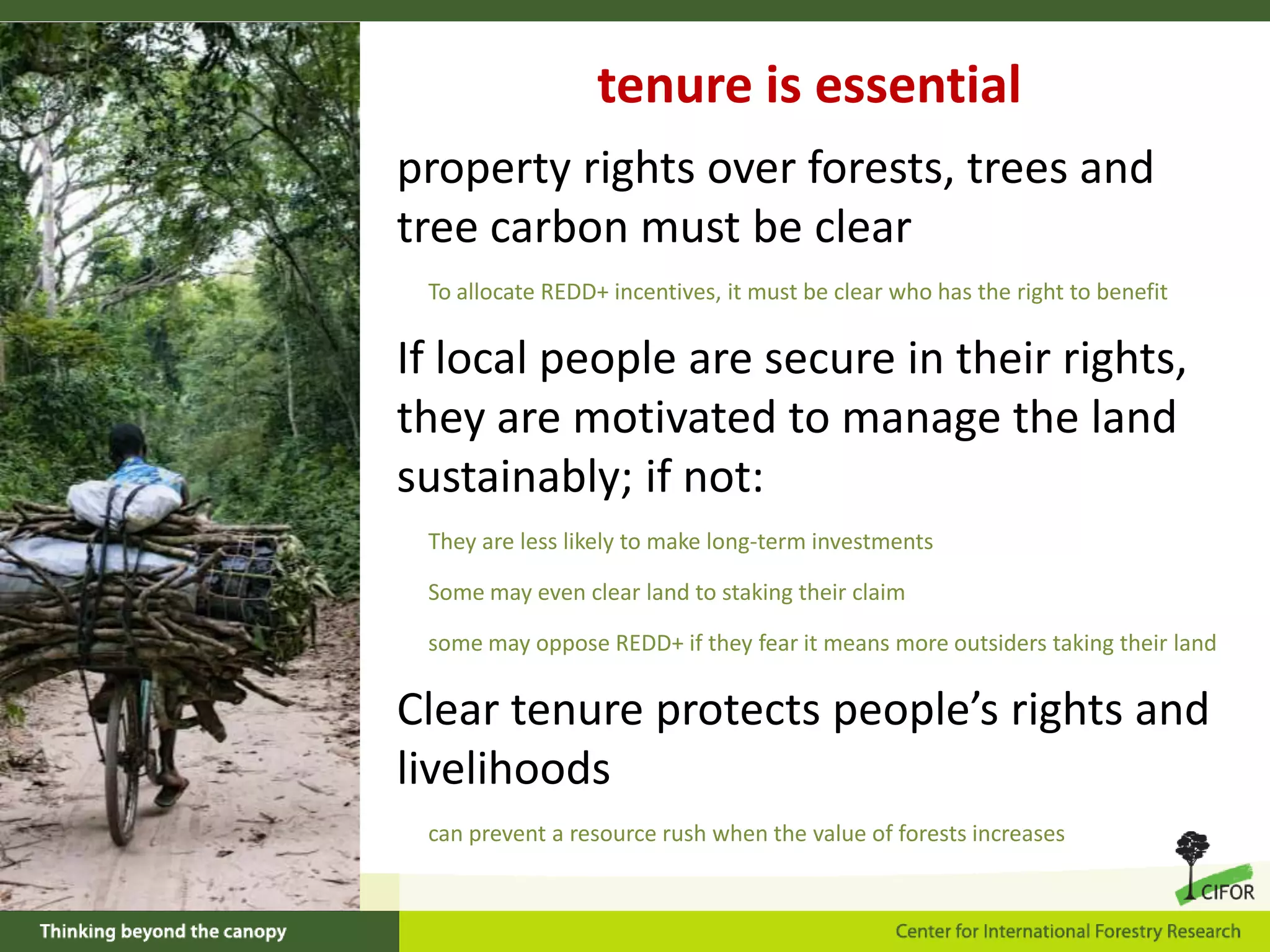 tenure is essential
property rights over forests, trees and
tree carbon must be clear
To allocate REDD+ incentives, it must be clear who has the right to benefit

If local people are secure in their rights,
they are motivated to manage the land
sustainably; if not:
They are less likely to make long-term investments

Some may even clear land to staking their claim
some may oppose REDD+ if they fear it means more outsiders taking their land

Clear tenure protects people’s rights and
livelihoods
can prevent a resource rush when the value of forests increases

 