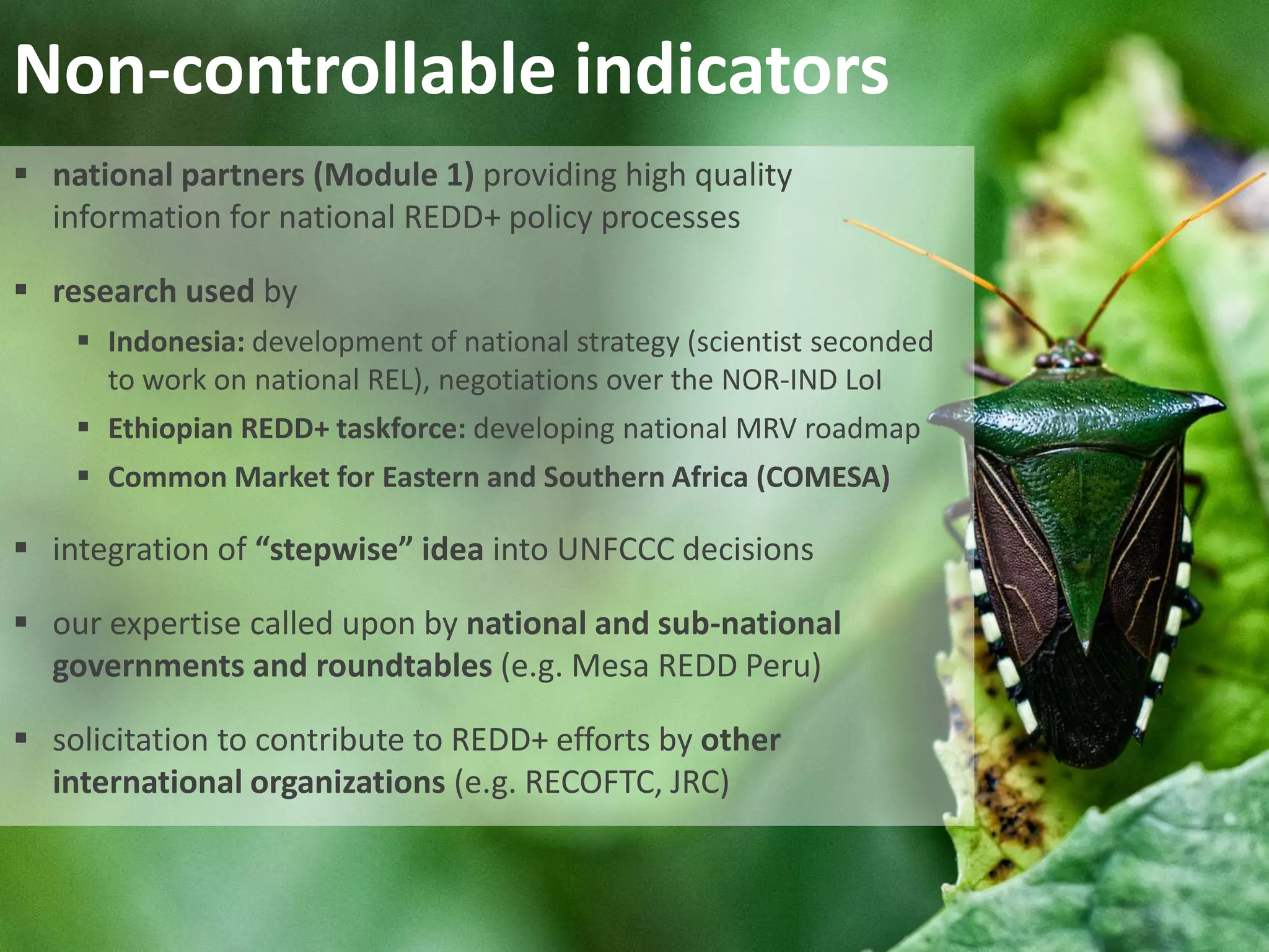 Non-controllable indicators
 national partners (Module 1) providing high quality
information for national REDD+ policy processes
 research used by
 Indonesia: development of national strategy (scientist seconded
to work on national REL), negotiations over the NOR-IND LoI
 Ethiopian REDD+ taskforce: developing national MRV roadmap
 Common Market for Eastern and Southern Africa (COMESA)

 integration of “stepwise” idea into UNFCCC decisions
 our expertise called upon by national and sub-national
governments and roundtables (e.g. Mesa REDD Peru)
 solicitation to contribute to REDD+ efforts by other
international organizations (e.g. RECOFTC, JRC)

 