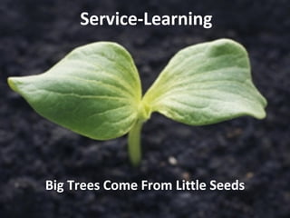 Service-Learning Big Trees Come From Little Seeds 