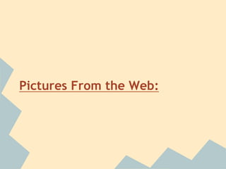 Pictures From the Web:
 