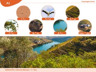 A paisagem local
A1
GEOCienTIC | Ciências Naturais – 7.o Ano
Relevo
Construções
Água
Fauna
Rochas
Solo
Flora ? ?
? ?
?
? ?
 