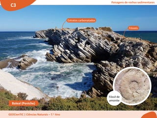 Paisagens de rochas sedimentares
C3
GEOCienTIC | Ciências Naturais – 7.o Ano
Baleal (Peniche)
C3
Estratos carbonatados
Fósseis
Fóssil de
amonite
 