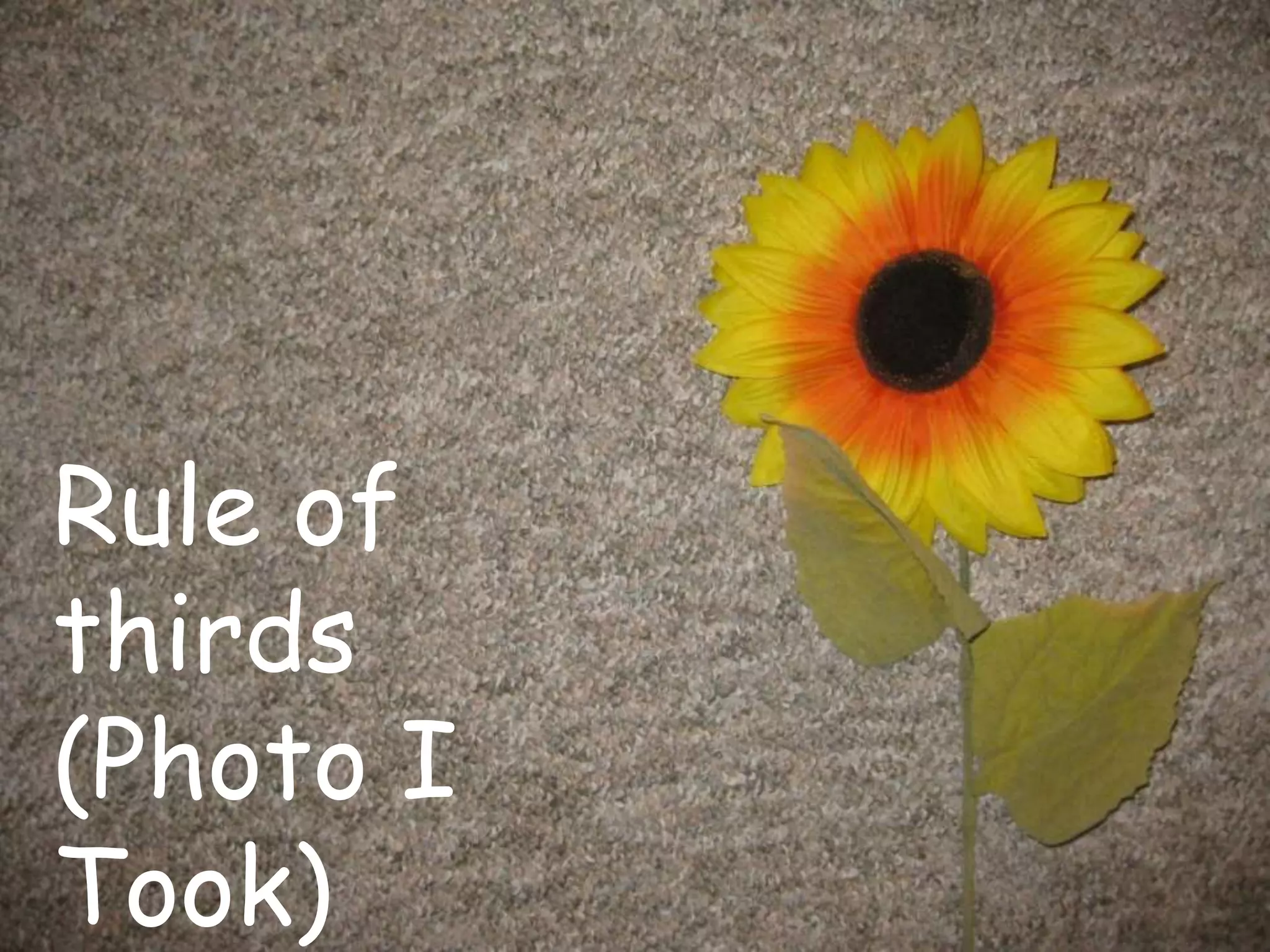 Rule of
thirds
(Photo I
Took)
 