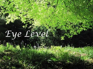 Eye Level
 