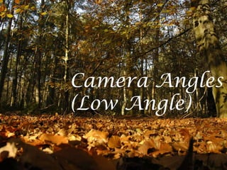 Camera Angles
(Low Angle)
 