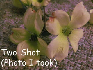 Two-Shot
(Photo I took)
 