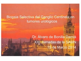 Biopsia Selectiva del Ganglio Centinela en
tumores urológicos
Dr. Álvaro de Bonilla Damiá
XXI Jornadas de la SAMN
15 de Marzo 2014
 