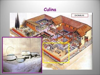 Culina 