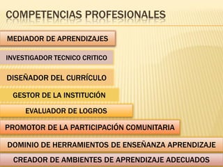 COMPETENCIAS PROFESIONALES

MEDIADOR DE APRENDIZAJES

INVESTIGADOR TECNICO CRITICO

DISEÑADOR DEL CURRÍCULO

 GESTOR DE LA INSTITUCIÓN

     EVALUADOR DE LOGROS

PROMOTOR DE LA PARTICIPACIÓN COMUNITARIA

DOMINIO DE HERRAMIENTOS DE ENSEÑANZA APRENDIZAJE
  CREADOR DE AMBIENTES DE APRENDIZAJE ADECUADOS
 