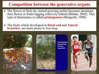 Competition between the generative organs
 The flower or fruit set, started growing earlier becomes dominant
than flower or fruits lagging relatively behind (Bubán, 2002). This
type of dominance is called primogenous (Bangerth, 1990).

 The fruits which developed at distal end and lateral
branches, are more prone to fruit drop.

 
