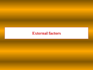 External factors

 