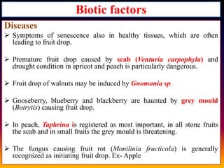 Biotic factors
Diseases
 Symptoms of senescence also in healthy tissues, which are often
leading to fruit drop.

 Premature fruit drop caused by scab (Venturia carpophyla) and
drought condition in apricot and peach is particularly dangerous.
 Fruit drop of walnuts may be induced by Gnomonia sp.
 Gooseberry, blueberry and blackberry are haunted by grey mould
(Botrytis) causing fruit drop.
 In peach, Taphrina is registered as most important, in all stone fruits
the scab and in small fruits the grey mould is threatening.
 The fungus causing fruit rot (Monilinia fructicola) is generally
recognized as initiating fruit drop. Ex- Apple

 