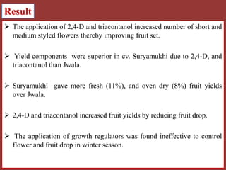Result
 The application of 2,4-D and triacontanol increased number of short and
medium styled flowers thereby improving fruit set.

 Yield components were superior in cv. Suryamukhi due to 2,4-D, and
triacontanol than Jwala.
 Suryamukhi gave more fresh (11%), and oven dry (8%) fruit yields
over Jwala.
 2,4-D and triacontanol increased fruit yields by reducing fruit drop.

 The application of growth regulators was found ineffective to control
flower and fruit drop in winter season.

 