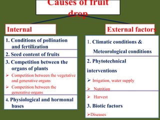 Causes of fruit
drop
Internal
factors
1. Conditions of pollination
and fertilization
2. Seed content of fruits
3. Competition between the
organs of plants
 Competition between the vegetative
and generative organs
 Competition between the
generative organs
4. Physiological and hormonal

bases

External factors
1. Climatic conditions &
Meteorological conditions
2. Phytotechnical
interventions
 Irrigation, water supply
 Nutrition
 Harvest

3. Biotic factors
Diseases

 