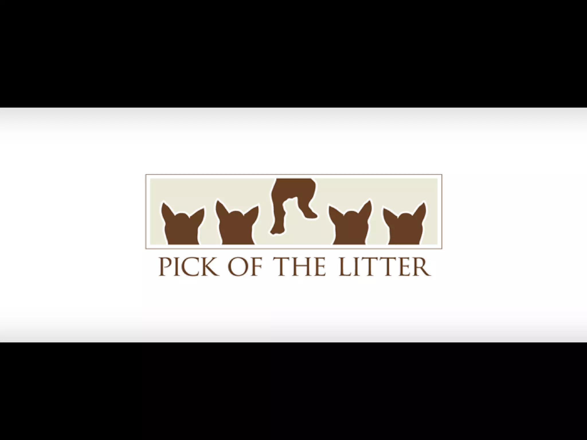 Graphic Design Career Summary Presentation