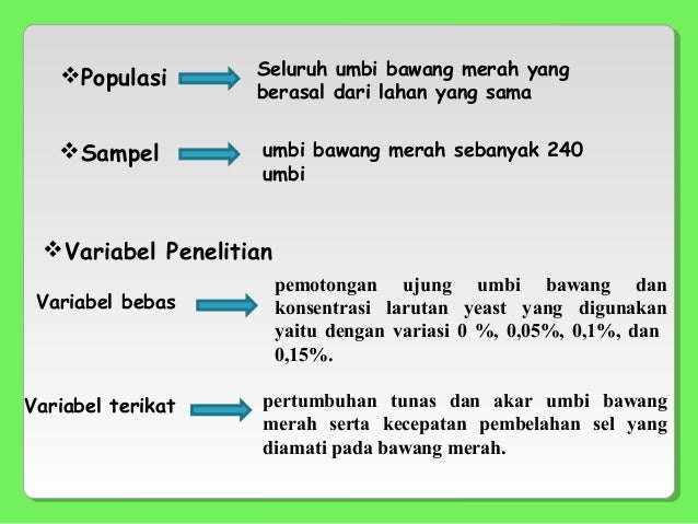Pera- pengaruh peningkatan konsentrasi yeast dan  Pera- pengaruh peningkatan konsentrasi yeast dan