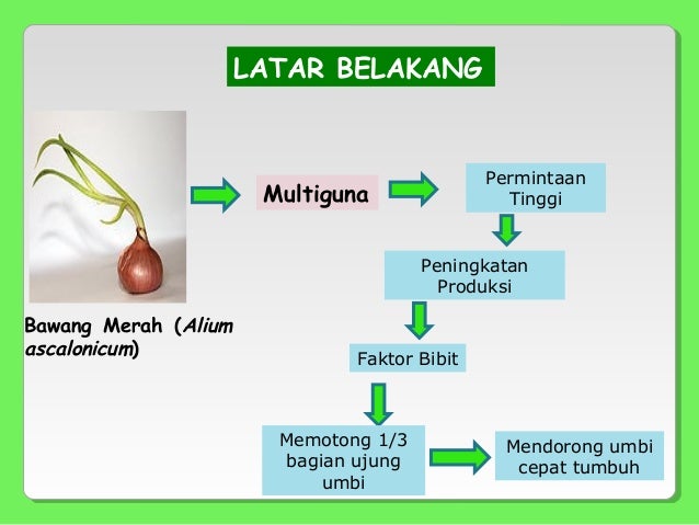 Pera pengaruh peningkatan konsentrasi yeast dan