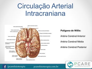pcarefisioterapia.com.br/pcarefisioterapia
Circulação Arterial
Intracraniana
Polígono de Willis:
Artéria Cerebral Anterior
Artéria Cerebral Média
Artéria Cerebral Posterior
 