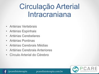 pcarefisioterapia.com.br/pcarefisioterapia
Circulação Arterial
Intracraniana
• Artérias Vertebrais
• Artérias Espinhais
• Artérias Cerebelares
• Artérias Pontinas
• Artérias Cerebrais Médias
• Artérias Cerebrais Anteriores
• Círculo Arterial do Cérebro
 
