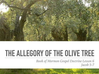 THE ALLEGORY OF THE OLIVE TREE
Book of Mormon Gospel Doctrine Lesson 13
Jacob 5-7
 