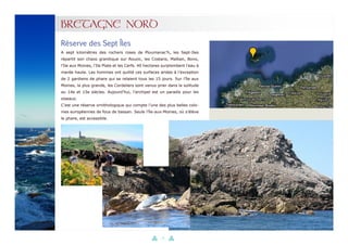 27
BRETAGNE NORD
A sept kilomètres des rochers roses de Ploumanac’h, les Sept-Iles
répartit son chaos granitique sur Rouzic, les Costans, Malban, Bono,
l’Ile aux Moines, l’Ile Plate et les Cerfs. 40 hectares surplombent l’eau à
marée haute. Les hommes ont quitté ces surfaces arides à l’exception
de 2 gardiens de phare qui se relaient tous les 15 jours. Sur l’île aux
Moines, la plus grande, les Cordeliers sont venus prier dans la solitude
au 14e et 15e siècles. Aujourd’hui, l’archipel est un paradis pour les
oiseaux.
C’est une réserve ornithologique qui compte l’une des plus belles colo-
nies européennes de fous de bassan. Seule l’île-aux-Moines, où s’élève
le phare, est accessible.
Réserve des Sept Îles
 