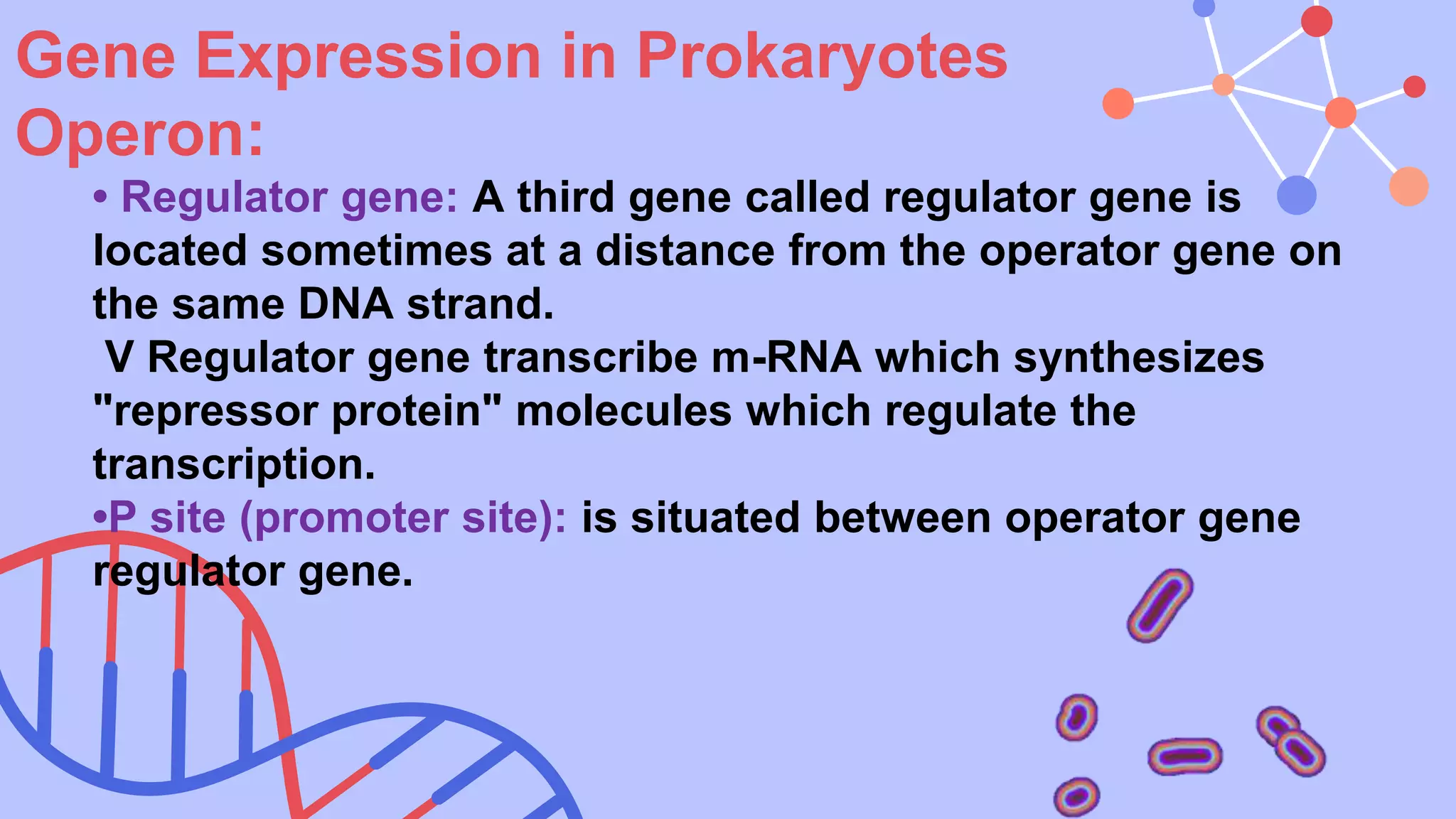 Regulation Of Gene Expression | PPTX