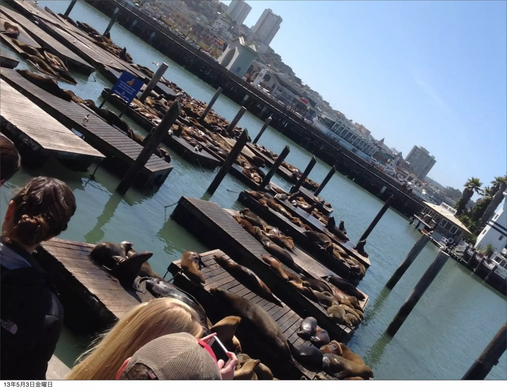 13年5月3日金曜日
 