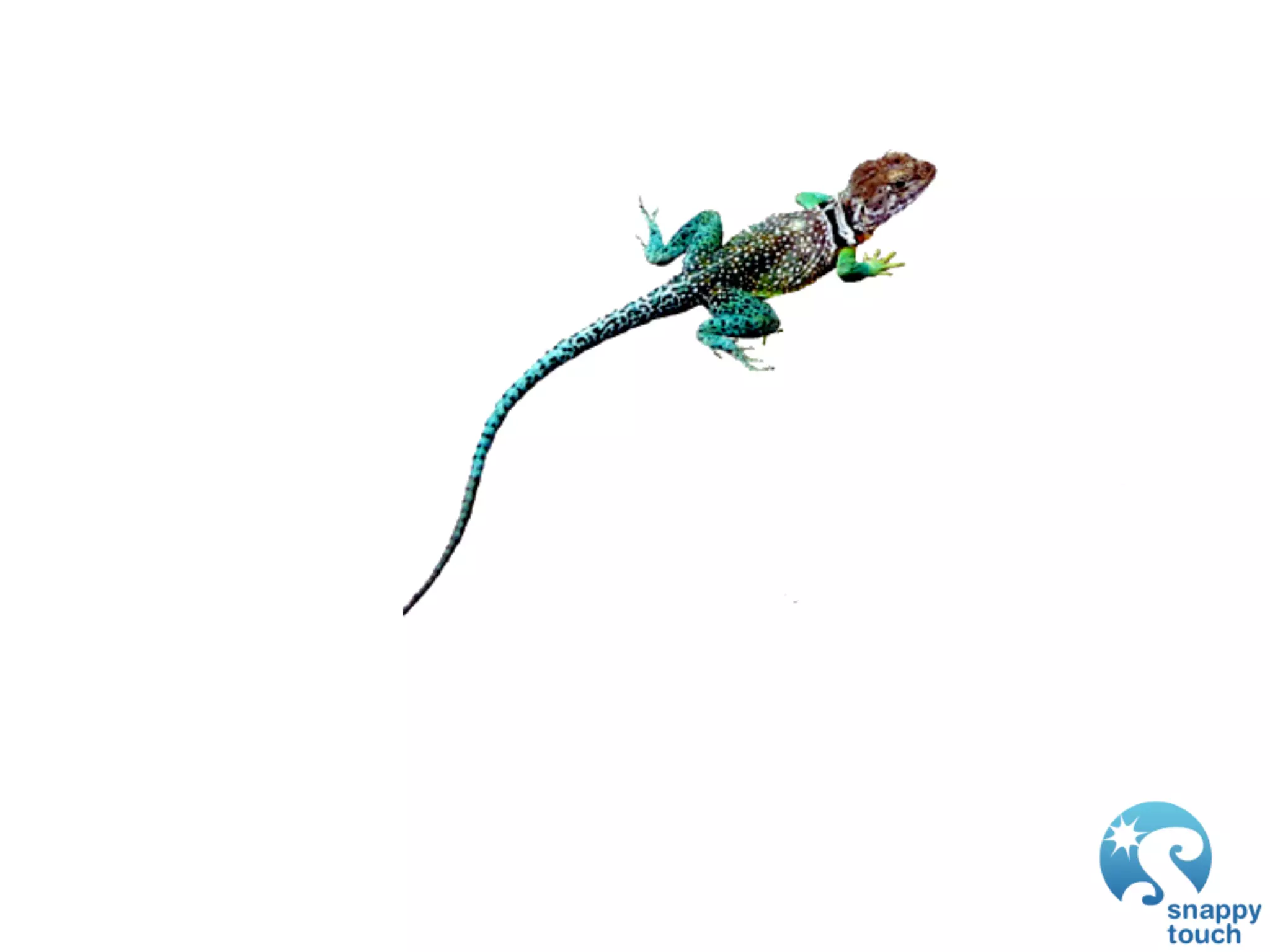 GDC 2009: iPhone Development: Exploring The New Frontier