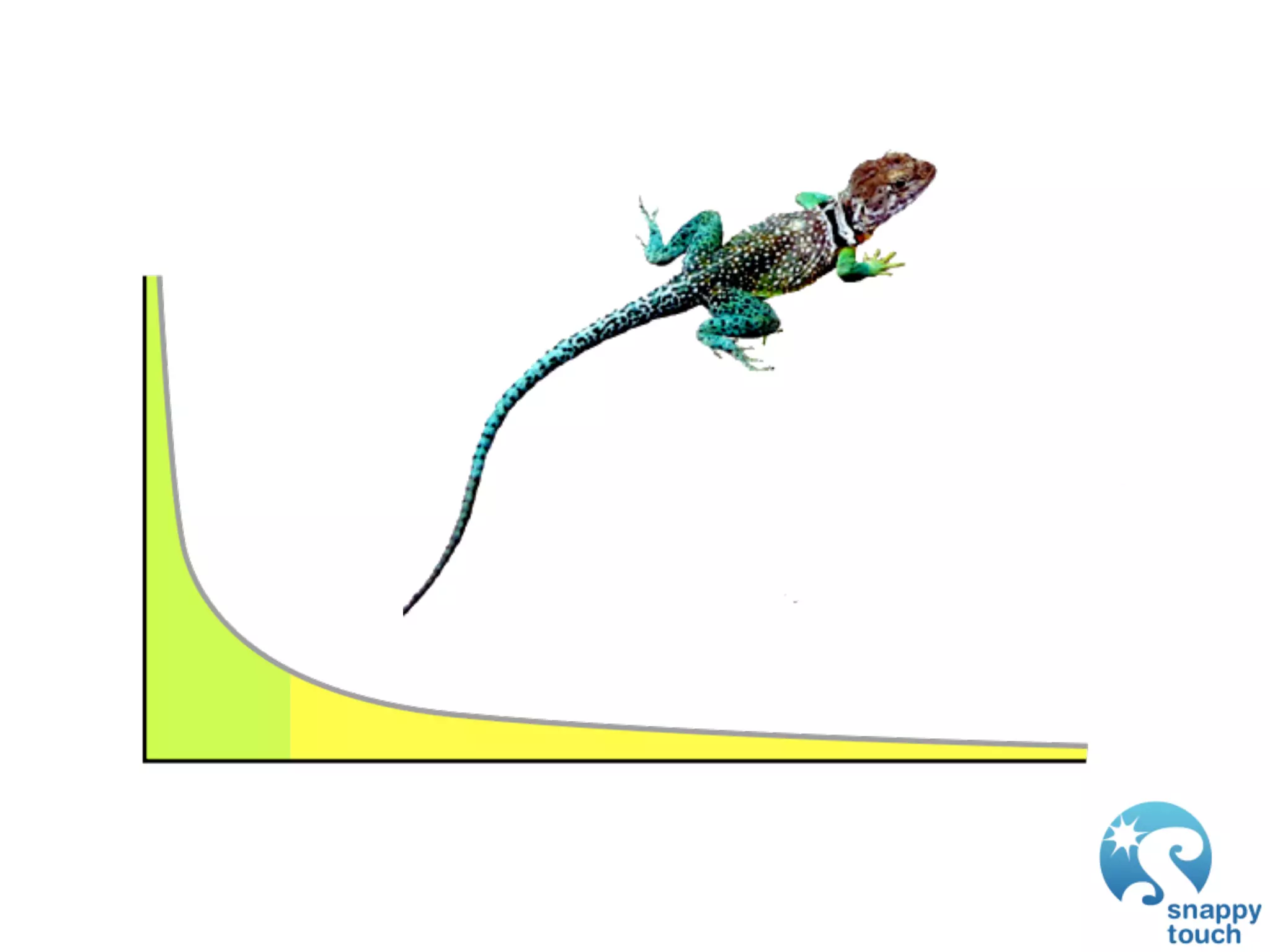 GDC 2009: iPhone Development: Exploring The New Frontier