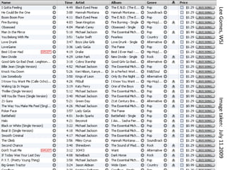 Lee Gomes, WSJImage taken:  July 11.2009