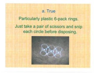 Green Destination Challenge Eco Quiz