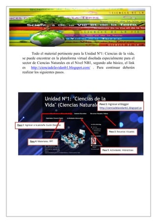 Todo el material pertinente para la Unidad Nº1: Ciencias de la vida,
se puede encontrar en la plataforma virtual diseñada especialmente para el
sector de Ciencias Naturales en el Nivel NB1, segundo año básico, el link
es
http://cienciadelavidanb1.blogspot.com/ . Para continuar deberán
realizar los siguientes pasos.

 