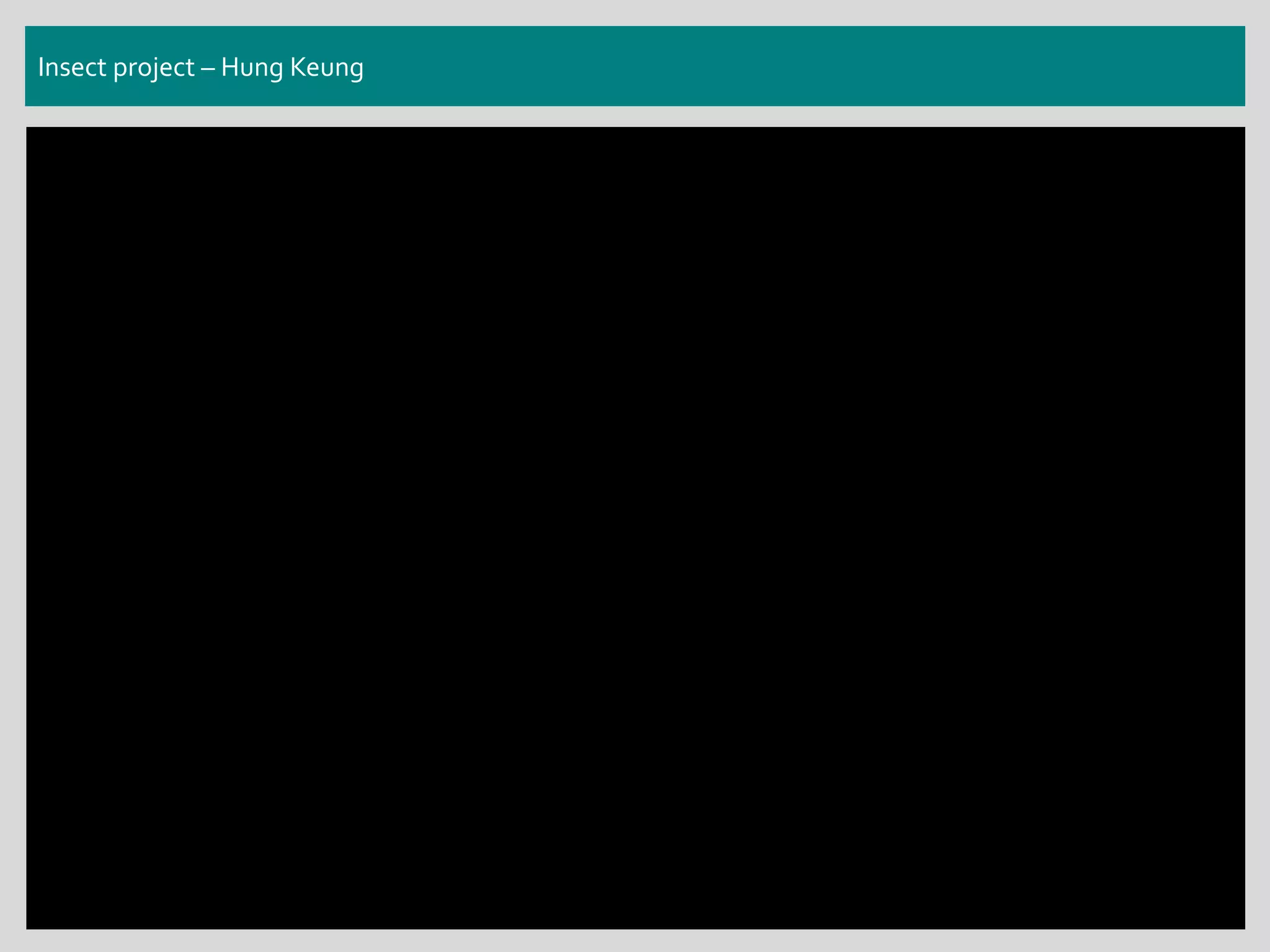 Insect project – Hung Keung
 