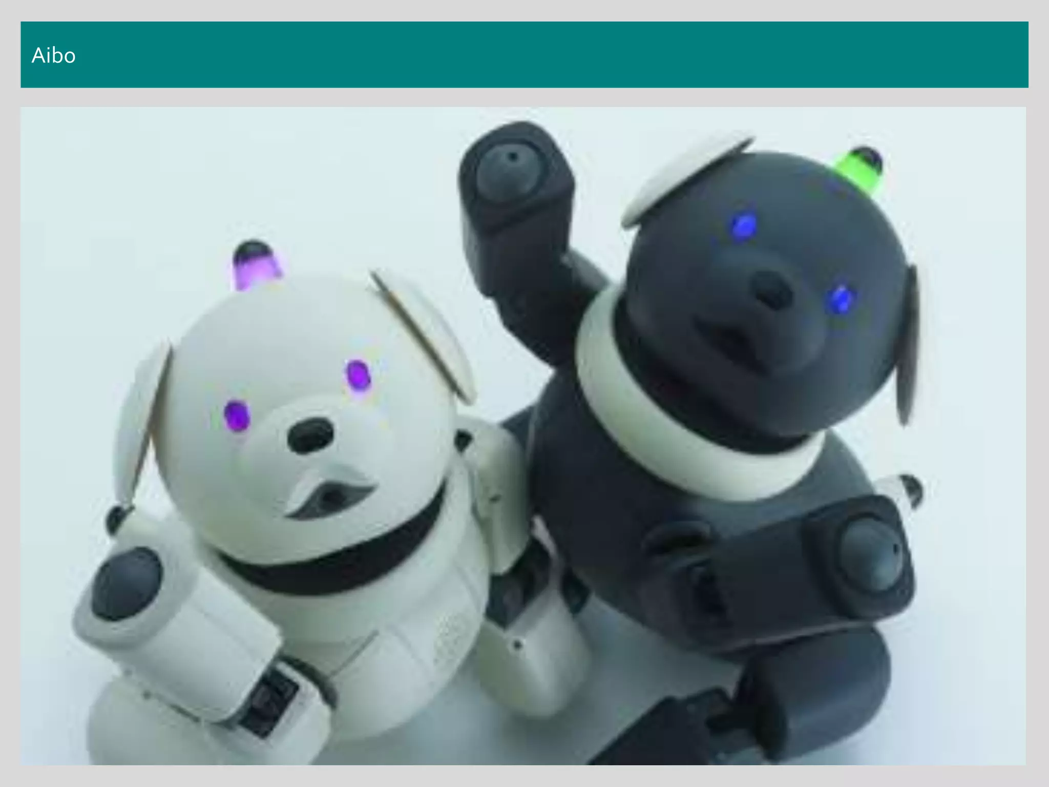 Aibo
 