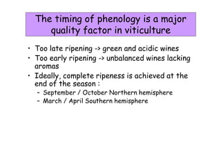 Gdd for flowering verasion new model van leeuwen | PDF