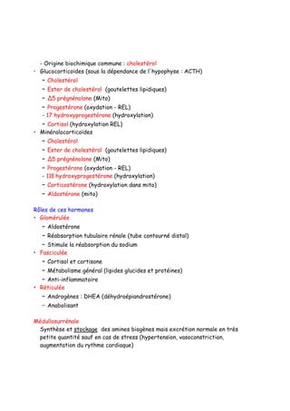 - Origine biochimique commune : cholestérol
• Glucocorticoïdes (sous la dépendance de l'hypophyse : ACTH)
– Cholestérol
– Ester de cholestérol (goutelettes lipidiques)
– ∆5 prégnénolone (Mito)
– Progestérone (oxydation - REL)
- 17 hydroxyprogestérone (hydroxylation)
– Cortisol (hydroxylation REL)
• Minéralocorticoïdes
– Cholestérol
– Ester de cholestérol (goutelettes lipidiques)
– ∆5 prégnénolone (Mito)
– Progestérone (oxydation - REL)
- 11ß hydroxyprogestérone (hydroxylation)
– Corticostérone (hydroxylation dans mito)
– Aldostérone (mito)
Rôles de ces hormones
• Glomérulée
– Aldostérone
– Réabsorption tubulaire rénale (tube contourné distal)
– Stimule la réabsorption du sodium
• Fasciculée
– Cortisol et cortisone
– Métabolisme général (lipides glucides et protéines)
– Anti-inflammatoire
• Réticulée
– Androgènes : DHEA (déhydroépiandrostérone)
– Anabolisant
Médullosurrénale
Synthèse et stockage des amines biogènes mais excrétion normale en très
petite quantité sauf en cas de stress (hypertension, vasoconstriction,
augmentation du rythme cardiaque)
 