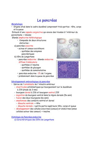Le pancréas
Morphologie
• Organe situé dans le cadre duodénal comprenant trois parties : tête, corps
et la queue
Entouré d'une capsule conjonctive qui envoie des travées à l'intérieur du
parenchyme -> lobules
Glande amphicrine hétérotypique
• Composée de deux structures
distinctes :
a) pancréas exocrine
• acinus et canaux excréteurs
– synthèse des enzymes
pancréatiques
b) ilôts de Langerhans
• pancréas endocrine : Glande endocrine
diffuse trabéculaire
– synthèse d ’insuline
– synthèse de glucagon
– synthèse de somatostatine
– pancréas endocrine : 1% de l ’organe
• prédominant dans la queue du pancréas
Développement embryologique du pancréas
• Dérive de l ’entoblaste de l ’intestin antérieur
– diverticules entoblastiques qui bourgeonnent sur le duodénum
à J19 (stade de 3 mm)
– bourgeon dorsal à J26 et bourgeon ventral J29
– migration du bourgeon ventral dans la région dorsale (5e sem)
– fusion des deux bourgeons (6e sem)
– anastomose des conduits ventral et dorsal
– ébauche ventrale -> tête
– ébauche dorsale -> petite partie supérieure tête, corps et queue
– développement des cellules exocrines (canaux) et endocrines (amas
cellules autour des canaux) -> insuline
Histologie du Pancréas endocrine
a) Caractéristiques des Ilôts de Langerhans
•
 