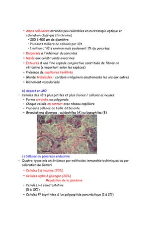 – Amas cellulaires arrondis peu colorables en microscopie optique en
coloration classique (trichrome)
• 200 à 400 µm de diamètre
• Plusieurs milliers de cellules par ilôt
• 1 million d ’ilôts environ mais seulement 1% du pancréas
– Dispersés à l ’intérieur du pancréas
– Mélés aux constituants exocrines
– Entourés d ’une fine capsule conjonctive constituée de fibres de
réticuline (± important selon les espèces)
– Présence de capillaires fenêtrés
– Glande trabéculée : cordons irréguliers anastomosés les uns aux autres
– Richement vascularisés
b) Aspect en MO
• Cellules des ilôts plus petites et plus claires / cellules acineuses
– Forme arrondie ou polygonale
– Chaque cellule en contact avec réseau capillaire
– Plusieurs cellules de taille différente
– Granulations diverses : acidophiles (A) ou basophiles (B)
c) Cellules du pancréas endocrine
• Quatre types mis en évidence par méthodes immunohistochimiques ou par
coloration de Gomori
– Cellules ß à insuline (70%)
– Cellules alpha à glucagon (20%)
Régulation de la glycémie
– Cellules ∂ à somatostatine
(5 à 10%)
– Cellules PP (synthèse d ’un polypeptide pancréatique (1 à 2%)
 