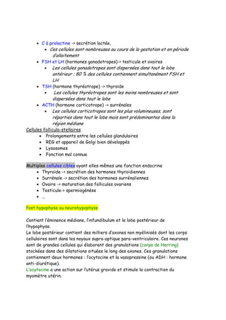 • C à prolactine -> secrétion lactée.
• Ces cellules sont nombreuses au cours de la gestation et en période
d’allaitement
• FSH et LH (hormones gonadotropes)-> testicule et ovaires
• Les cellules gonadotropes sont dispersées dans tout le lobe
antérieur ; 80 % des cellules contiennent simultanément FSH et
LH
• TSH (hormone thyréotrope) -> thyroïde
• Les cellules thyréotropes sont les moins nombreuses et sont
dispersées dans tout le lobe
• ACTH (hormone corticotrope) -> surrénales
• Les cellules corticotropes sont les plus volumineuses, sont
réparties dans tout le lobe mais sont prédominantes dans la
région médiane
Cellules folliculo-stellaires
• Prolongements entre les cellules glandulaires
• REG et appareil de Golgi bien développés
• Lysosomes
• Fonction mal connue
Multiples cellules cibles ayant elles-mêmes une fonction endocrine
• Thyroïde -> secrétion des hormones thyroidiennes
• Surrénale -> secrétion des hormones surrénaliennes
• Ovaire -> maturation des follicules ovariens
• Testicule-> spermiogénèse
• ...
Post hypophyse ou neurohypophyse
Contient l’éminence médiane, l’infundibulum et le lobe postérieur de
l’hypophyse.
Le lobe postérieur contient des milliers d’axones non myélinisés dont les corps
cellulaires sont dans les noyaux supra-optique para-ventriculaire. Ces neurones
sont de grandes cellules qui élaborent des granulations (corps de Herring)
stockées dans des dilatations situées le long des axones. Ces granulations
contiennent deux hormones : l’ocytocine et la vasopressine (ou ADH : hormone
anti-diurétique).
L’ocytocine a une action sur l’utérus gravide et stimule la contraction du
myomètre utérin.
 