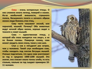 Совы - очень интересные птицы. О
них сложено много легенд, поверий и сказок.
Из-за необычной внешности, страшного
голоса, бесшумного полета и ночного образа
жизни люди боялись этих птиц.
Сову часто называют лесной, или
пернатой, кошкой. Почему? Оба животных
ведут ночной образ жизни, хорошо видят в
темноте и ловят мышей.
Сова — единственная птица, у
которой оба глаза находятся «на лице», а не
по бокам головы. Повернув голову, сова
может увидеть свою спину, такая у нее шея.
Слух у сов в пятьдесят раз острее,
чем у человека. Такой слух необходим сове,
чтобы находить под снегом бегущих мышей.
Ученые подсчитали, что одна сова уничтожает
за год в среднем 1000-1200 мышей. Это
значит, она спасает около тонны хлеба, то есть
столько, сколько за год съедает примерно 10-
11 человек.
 