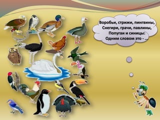 Воробьи, стрижи, пингвины,
Снегири, грачи, павлины,
Попугаи и синицы:
Одним словом это - ...
 