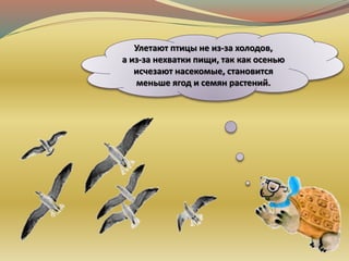 Улетают птицы не из-за холодов,
а из-за нехватки пищи, так как осенью
исчезают насекомые, становится
меньше ягод и семян растений.
 