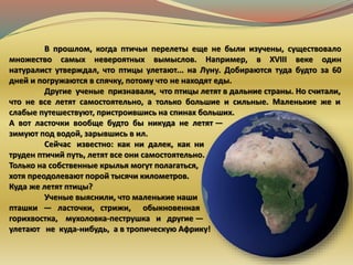 В прошлом, когда птичьи перелеты еще не были изучены, существовало
множество самых невероятных вымыслов. Например, в XVIII веке один
натуралист утверждал, что птицы улетают... на Луну. Добираются туда будто за 60
дней и погружаются в спячку, потому что не находят еды.
Другие ученые признавали, что птицы летят в дальние страны. Но считали,
что не все летят самостоятельно, а только большие и сильные. Маленькие же и
слабые путешествуют, пристроившись на спинах больших.
А вот ласточки вообще будто бы никуда не летят —
зимуют под водой, зарывшись в ил.
Сейчас известно: как ни далек, как ни
труден птичий путь, летят все они самостоятельно.
Только на собственные крылья могут полагаться,
хотя преодолевают порой тысячи километров.
Куда же летят птицы?
Ученые выяснили, что маленькие наши
пташки — ласточки, стрижи, обыкновенная
горихвостка, мухоловка-пеструшка и другие —
улетают не куда-нибудь, а в тропическую Африку!
 