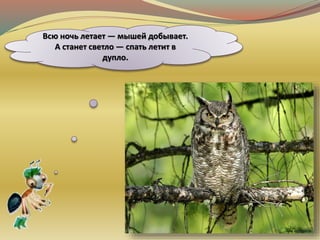 Всю ночь летает — мышей добывает.
А станет светло — спать летит в
дупло.
 